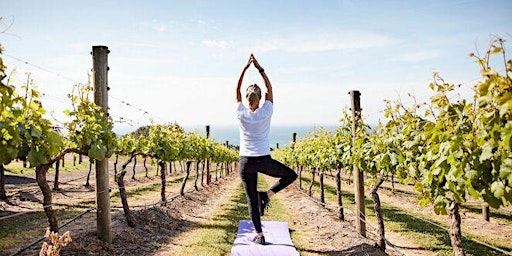Yoga in The Vines- A Wellness Retreat primary image