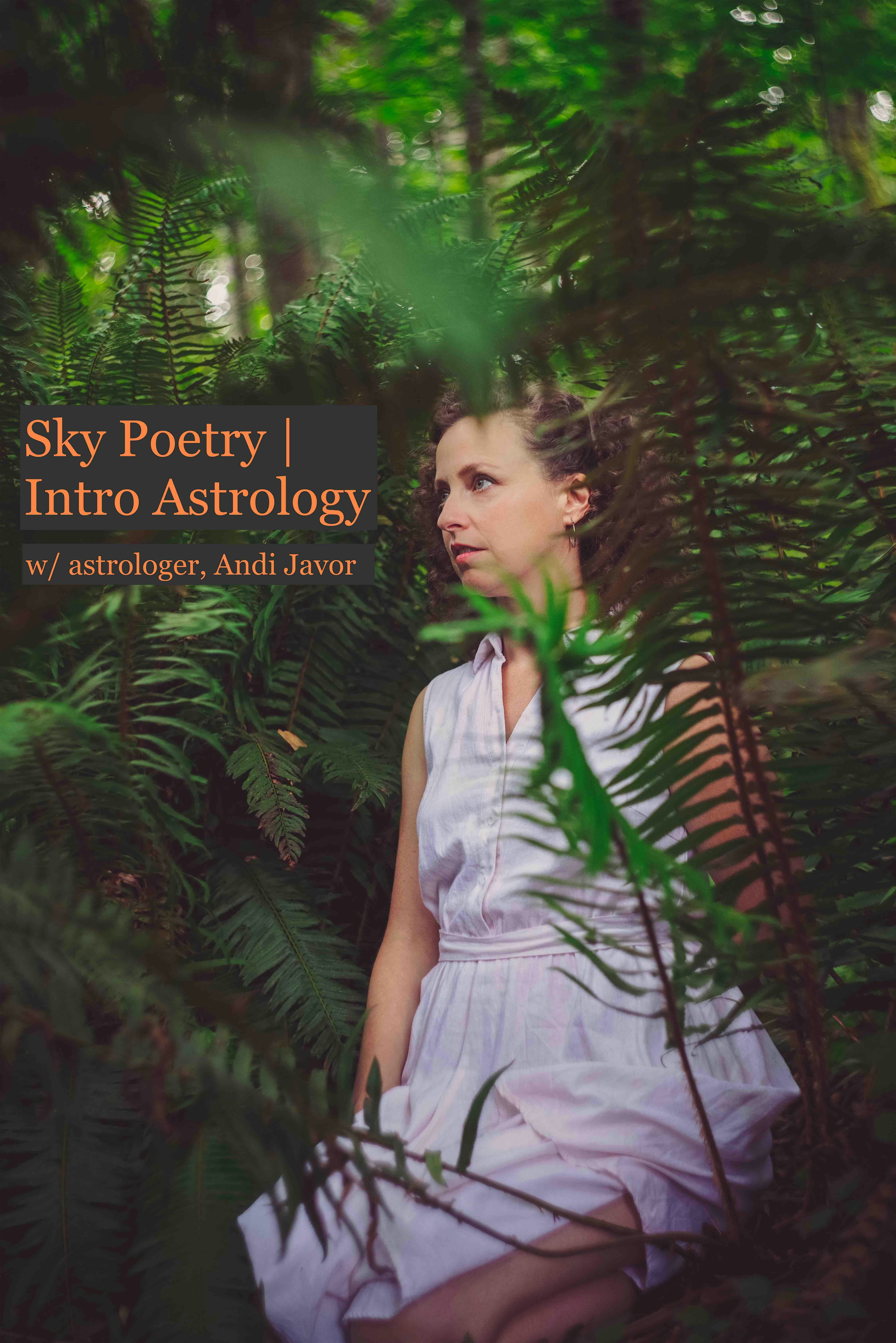 SKY POETRY | An Introduction to Learning Astrology  | San Diego
