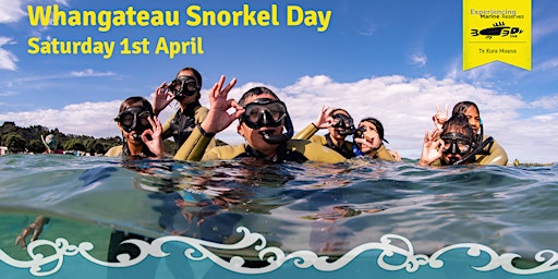 POSTPONED Whangateau Snorkel Day