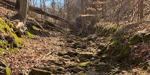 Nature Hike in Hillsboro primary image