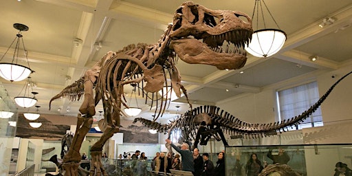 Immagine principale di Museum Of Natural History Murder Mystery & Scavenger Hunt 