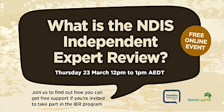 What is the NDIS Independent Expert Review?