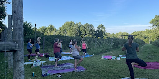 Farm YogAdventure: Berries + Yoga  primärbild