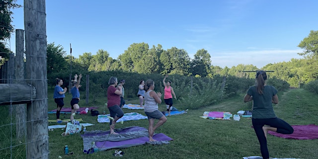 Farm YogAdventures: Berries + Yoga primary image