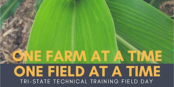 One Farm at a Time, One Field at a Time