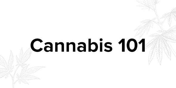 Cannabis 101