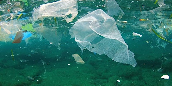 Workshop: Plastic Pollution Series