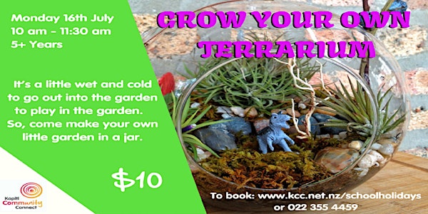 Grow your own Terrarium