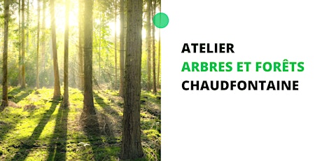Chaudfontaine : Atelier "Arbres et forêts"