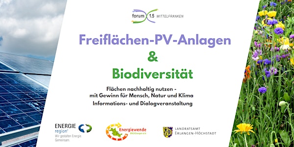 Freiflächen-PV-Anlagen & Biodiversität