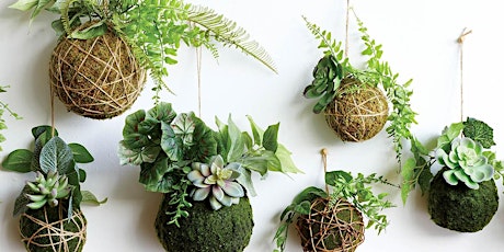 Primaire afbeelding van Kokedama Workshop