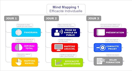 Image principale de Formation Mind Mapping Efficacité Individuelle 3 jours (Paris)