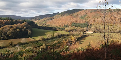 Hauptbild für Dunster Outback Guided Walks 2024