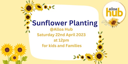 Sunflower Planting for kids and families