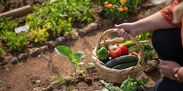 Atelier en ligne - escape game de l'alimentation durable