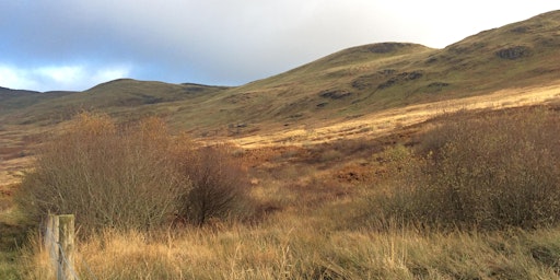 The cascading impacts of grazing: long-term research at Glen Finglas