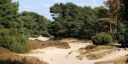 Ga mee 'OpStap' in natuurgebied Beerze