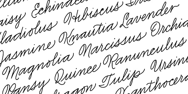 Utah Valley Lettering Club Penmanship workshop with Melissa Esplin