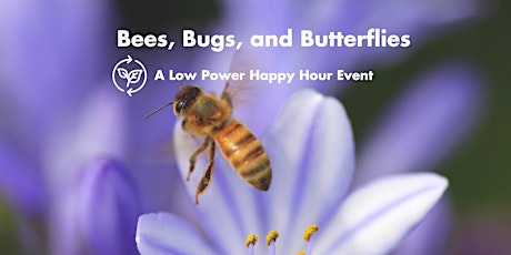 Bees, Bugs, and Butterflies. A Low Power Happy Hour Event.