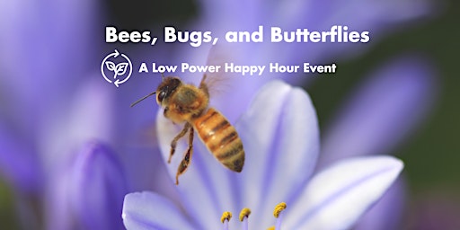 Imagem principal de Bees, Bugs, and Butterflies. A Low Power Happy Hour Event.