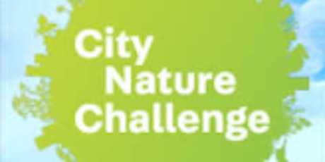 City Nature Challenge 2023 at Ridgewood Reservoir