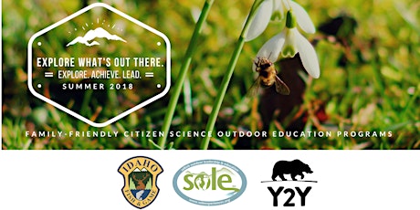 Seasonal Experience | Family | Citizen Science | July 2018 primary image