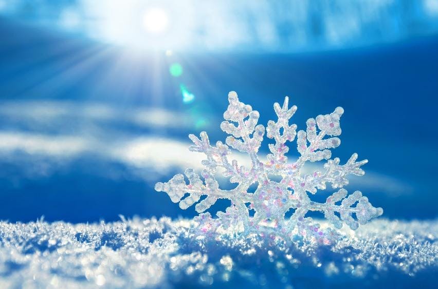 scape winter wonderland party 20 jul 2018