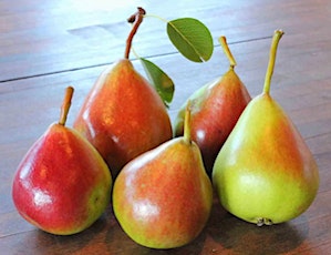 Grow Your Own Cold-Hardy Fruit Trees primary image