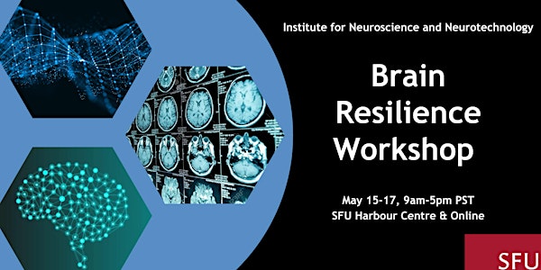 Brain Resilience Workshop