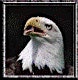 Organizer profile image