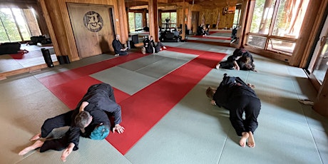 Tengu Training: Jiu Jitsu Weekend primary image