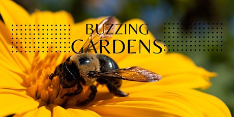 Buzzing Gardens: A Guide to Pollinators and Pollinator Plants