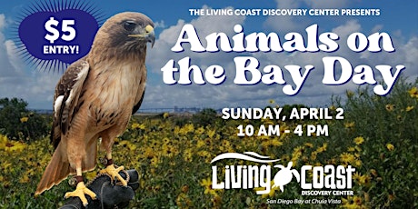 Animals on the Bay Day primary image