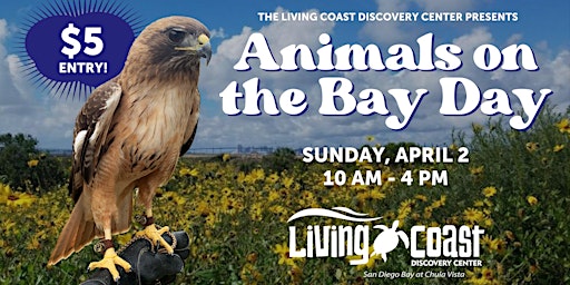 Animals on the Bay Day