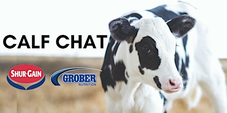 Calf Chat - A Shur-Gain event hosted by Grober Nutrition primary image
