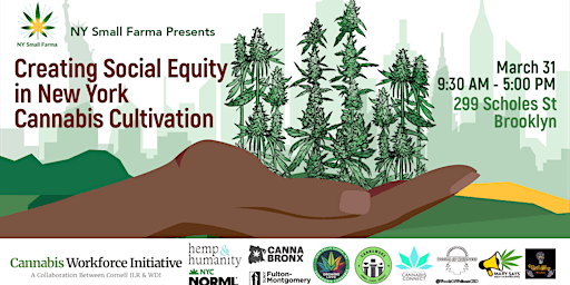 Creating Opportunities for Social Equity in NY Cannabis Cultivation