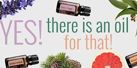 Ive got my oils... Now what?  primary image