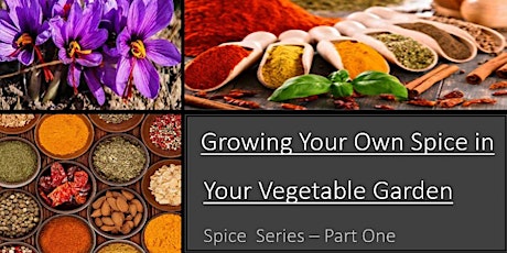 Growing Your Own Spice in Your Vegetable Garden - Part 1