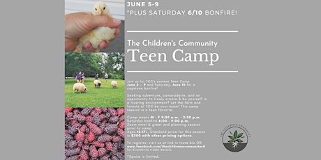 TCC Teen Camp June 5-9 & 10th, 2023