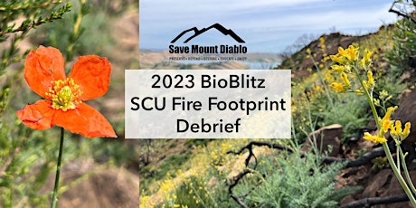 2023 Bioblitz Debrief primary image