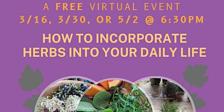 How to Incorporate Herbs into Your Daily Life