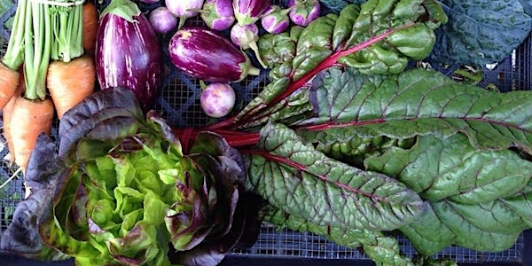 FarmersDirect Dinner Series #3- Bee Heaven Farm