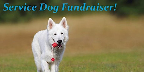 Service Dog Fundraiser primary image