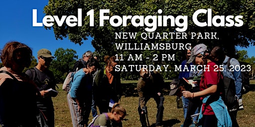 Level 1 Foraging: New Quarter Park, Williamsburg, March 25, 2023