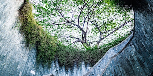 From Seed to Tree: Fort Canning primary image