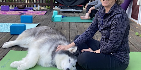 Paws, Reflect & Stretch. Puppy Yoga!  Fundraiser for Husky House