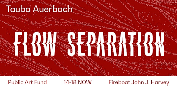 Tauba Auerbach: Flow Separation