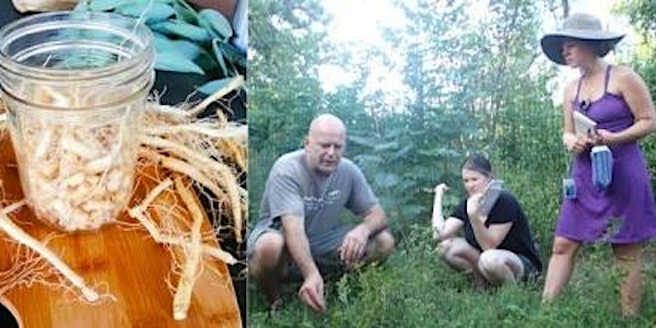Skills For Herbalists: The 5-Day Intensive - October 2018
