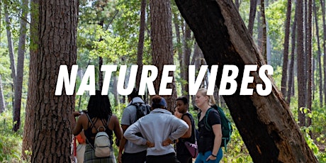 Nature Vibes Guided Meditation Walk Vol. 9 primary image