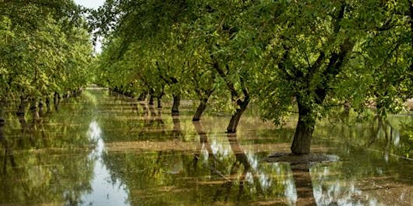 Flood-MAR – Using Floodwater for Managed Aquifer Recharge